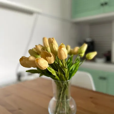Apartment Your Holidays Platja d'Aro